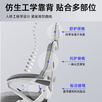 朗域軒品 人體工學電競椅 可后躺-白灰色