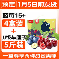 Mr.Seafood 京鮮生 云南藍(lán)莓15mm 4盒裝125g/盒 JJ級(jí)車?yán)遄?斤裝