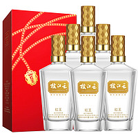 枝江 王紅王 42%vol 柔雅白酒 500mL*6瓶