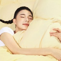 躺島 陽光絨絨 高效分區(qū)羽絨冬被 200x230cm（雙人）