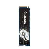 GUDGA 固德佳 GXF  NVMe M.2固態(tài)硬盤 1TB（PCIE4.0）