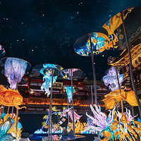 開票！7折！2025上海豫園燈會早鳥票