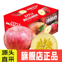 AKSU AKESU APPLE 阿克蘇蘋果 冰糖心蘋果 n凈重8.5斤 70-80mm