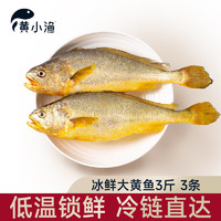 黃小漁 BAP認(rèn)證黃花魚(yú)3條3斤