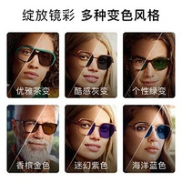 essilor 依視路 全視線變色鏡片灰變定制片T8系列1.60折射率 鉆晶膜潔現(xiàn)片*2