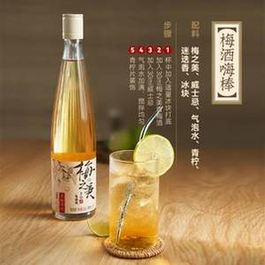 RIO 銳澳 梅之美低度微醺青梅酒 500ml