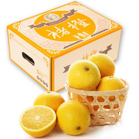 CHU’S AGRICULTURE 褚橙 2024褚橙5kg珍品XL禮盒裝褚時健云南冰糖橙新鮮水果