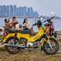 HONDA 新大洲本田 幼獸cc110 復(fù)古彎梁摩托車 CROSS CUB 凝光黃