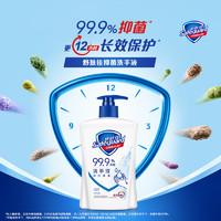 Safeguard 舒膚佳 健康抑菌洗手液套裝840g