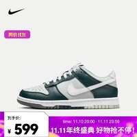 NIKE 耐克 DUNK LOW 通用款運(yùn)動(dòng)鞋 FB9109-300