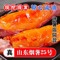 山東煙薯25號(hào)凈重3.8斤單果100g+