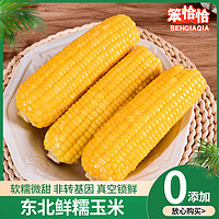 笨恰恰 黃糯玉米 250g*8根