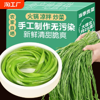 貢菜干干貨特一級批發(fā)貢菜官方旗艦店商用涼拌火鍋專用即食下飯菜