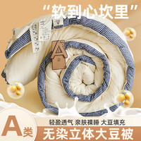 樸依 A類(lèi)大豆被被芯 8斤200*230cm冬被