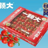 一顆大 玲瓏串番茄櫻桃番茄 1kg*2盒