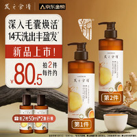 Hair Recipe 發(fā)之食譜 姜根茶防斷養(yǎng)發(fā)洗發(fā)水530ml（拍2贈(zèng) 同款50ml*2）