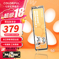 COLORFUL 七彩虹 PCIe4.0 M.2 NVMe CN700 固態(tài)硬盤 橘貓 長江存儲顆粒 橘影橙ME700 1TB