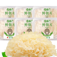 Gusong 古松食品 古松 新鮮銀耳 獨(dú)立盒裝 順豐快遞 100g*6盒