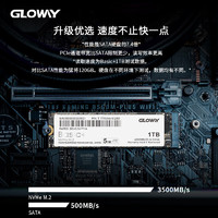 GLOWAY 光威 1TB SSD固態(tài)硬盤 M.2接口(NVMe協(xié)議) PCIe 3.0x4 Basic+系列 黑神話裝機(jī)升級(jí)