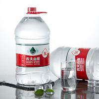 NONGFU SPRING 農(nóng)夫山泉 大桶裝家庭煮飯泡茶水 5L*4桶