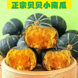 正宗山東貝貝南瓜粉糯香甜板栗味小南瓜寶寶輔食營養(yǎng)豐富