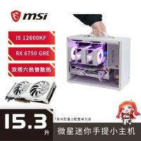 MSI 微星 i5 12600KF/RX 6750GRE白色臺式迷你電腦主機便攜提手整機