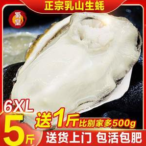 超大蠔王，蜀皇 乳山鮮活生蠔  凈重5斤 6XL 送1斤