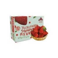 玖玖農(nóng)場(chǎng) 丹東草莓 單果25-30g 1kg 禮盒裝