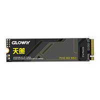 GLOWAY 光威 512GB SSD固態(tài)硬盤(pán) M.2接口 PCIe 3.0x4 天策系列