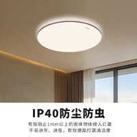 Panasonic 松下 吸頂燈臥室燈全光譜米家智能 IP40護眼燈 掠影咖色50瓦HHXS5166