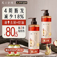 Hair Recipe 發(fā)之食譜 蘋果生姜滋養(yǎng)修護(hù)洗發(fā)露 530ml（拍2件贈(zèng) 旅行裝50ml*2）