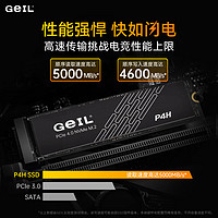 GeIL 金邦 P4H NVMe M.2 固態(tài)硬盤 1TB（PCI-E 4.0）