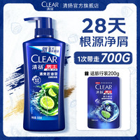 CLEAR 清揚 男士去屑洗發(fā)露 清爽控油型 500g送200g