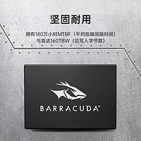 SEAGATE 希捷 酷魚內(nèi)置固態(tài)硬盤sata 256GB