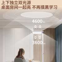 AOC 冠捷 立式護(hù)眼臺燈學(xué)習(xí)燈LED全光譜落地大路燈兒童閱讀燈 標(biāo)準(zhǔn)版