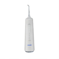 waterpik 潔碧 GSX 沖牙器水