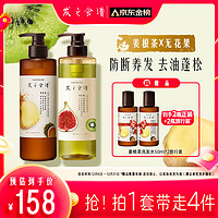 Hair Recipe 發(fā)之食譜 姜根茶洗發(fā)水530ml+無花果洗發(fā)水530ml（贈(zèng)旅行裝50ml*2）