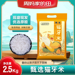 當(dāng)季新米正宗貓牙米長粒香大米超長當(dāng)季新米農(nóng)家絲苗米煲仔飯專用