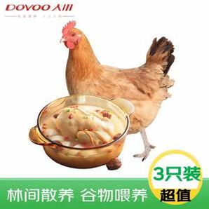 大用食品 土雞農(nóng)家散養(yǎng)三黃雞1.6斤*3只