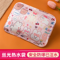 YANGZI 揚(yáng)子 充電式防爆熱水袋