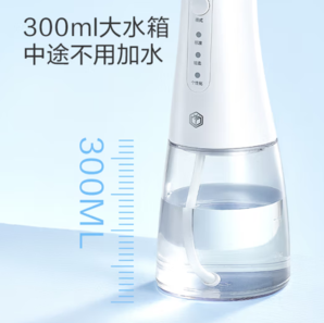 某東京造 JZCY-07B 立式?jīng)_牙器 300ML