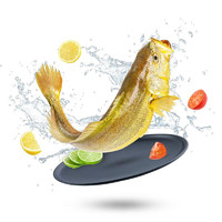 鮮京采 黃魚(yú)400g*4條(凈重1600g) 寧德特產(chǎn)