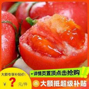 某寶買菜農(nóng)場(chǎng)直發(fā) 云南露天沙瓤西紅柿 中果 5斤裝