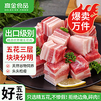 高金食品 國(guó)產(chǎn)豬五花肉塊1kg 冷凍帶皮五花肉 豬肉生鮮燒烤食材