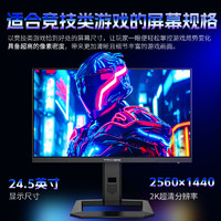 泰坦軍團(tuán) 24.5英寸 2K 240Hz QD量子點(diǎn)-MiniLED DC調(diào)光 HDR1000 升降旋轉(zhuǎn) FastIPS 1msGTG電競(jìng)顯示器 P245MS