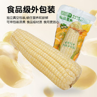 五谷頌 白糯玉米 250g*8支