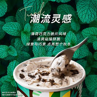 H?agen·Dazs 哈根達(dá)斯 Haagen-Dazs）薄荷巧克力脆皮脆片風(fēng)味冰淇淋100ml（2種口味任選6件）