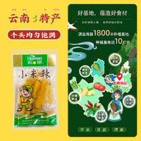 宏斌 泡椒小米辣 100g*5袋