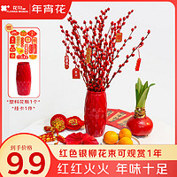 鐘愛(ài) 年宵花銀柳 60cm 20枝+掛卡1件+隨機(jī)花瓶