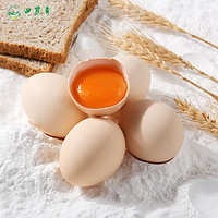 others 其他 正宗土雞蛋40g 新鮮農(nóng)家散養(yǎng)谷物喂養(yǎng)草雞蛋30枚